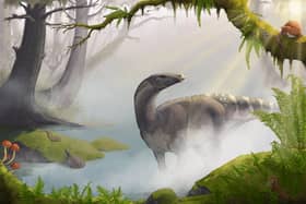 An artist's impression of the Elgol Dinosaur by Maija Karala.