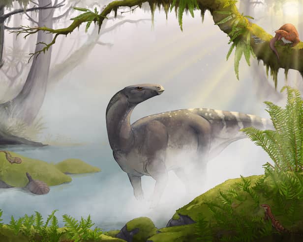 An artist's impression of the Elgol Dinosaur by Maija Karala.