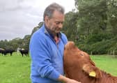 Neil Stewart, who took his own life last year, with Crunchie the cow 