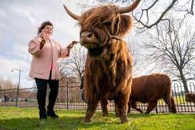 Elaine C Smith gets the Freedom of the City