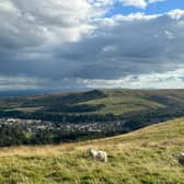 Warblaw Hill in the distance adjoining the town of Langholm 