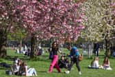 The Cockburn Association campaigned against a previous plan to drive a motorway through Edinburgh's Meadows (Picture: Jeff J Mitchell)