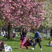 The Cockburn Association campaigned against a previous plan to drive a motorway through Edinburgh's Meadows (Picture: Jeff J Mitchell)