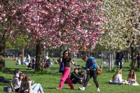 The Cockburn Association campaigned against a previous plan to drive a motorway through Edinburgh's Meadows (Picture: Jeff J Mitchell)