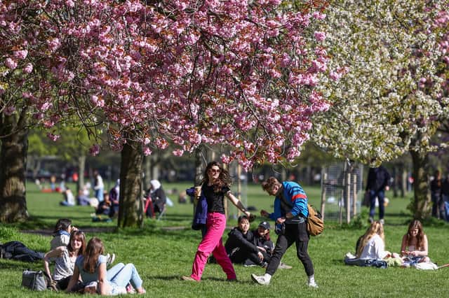 The Cockburn Association campaigned against a previous plan to drive a motorway through Edinburgh's Meadows (Picture: Jeff J Mitchell)