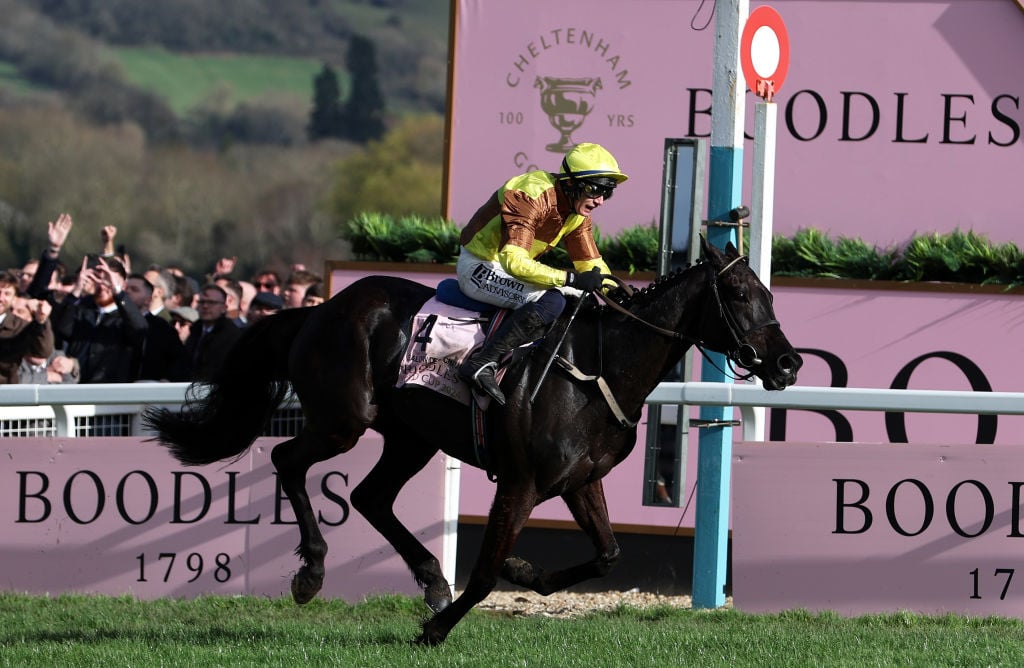 Cheltenham Gold Cup 2025 Prize Money How much the winner gets, how to