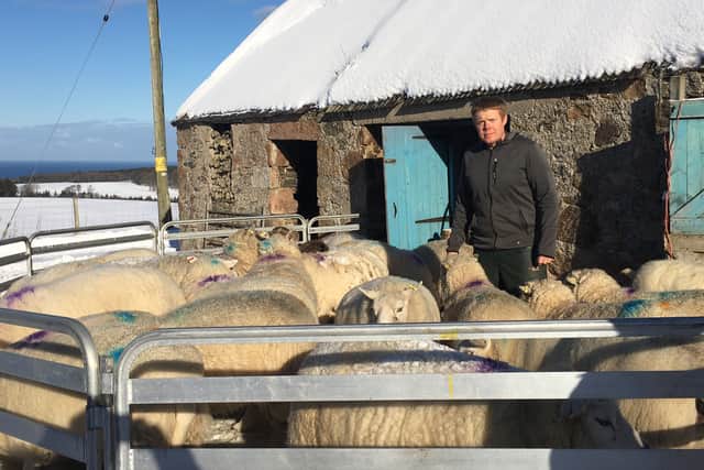Sheep farmer and MSP Tim Eagle said those in the farming sector are being “robbed of their livelihoods”