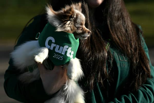 A person carries a Pomeranian dog into the first day of Crufts