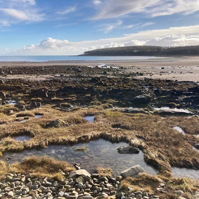 Rigg Bay