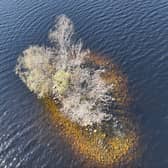 Crannogs contain some of the best preserved evidence for life in the past in Scotland, and an upcoming underwater excavation of Loch Achilty crannog funded by the Society of Antiquaries of Scotland could reveal more about medieval Highlanders. PIC: Andy Hickie.