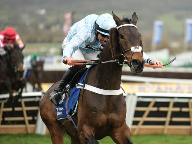 Doddiethegreat, ridden by Brian Hughes, win The Pertemps Network Final Handicap Hurdle during Day Three of the 2025 Cheltenham Festival.