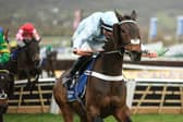 Doddiethegreat, ridden by Brian Hughes, win The Pertemps Network Final Handicap Hurdle during Day Three of the 2025 Cheltenham Festival.