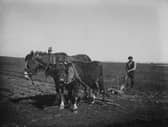 David Lloyd George, Prime Minister during the First World War, knew the value of Orkney farmers like this one, pictured in 1915 (Picture: Hulton Archive)