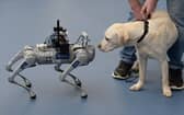Glasgow University's RoboGuide, a talking, self-navigating robotic guide dog, meets a Labrador at the RNIB conference on Inclusive Design for Sustainability at Glasgow Science Centre
