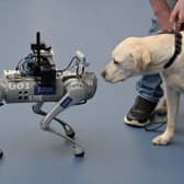 Glasgow University's RoboGuide, a talking, self-navigating robotic guide dog, meets a Labrador at the RNIB conference on Inclusive Design for Sustainability at Glasgow Science Centre