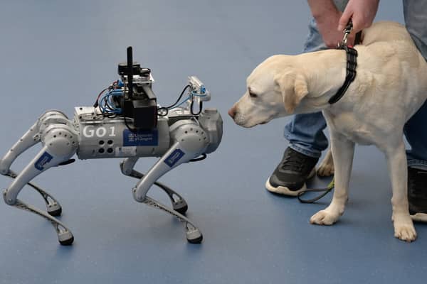 Glasgow University's RoboGuide, a talking, self-navigating robotic guide dog, meets a Labrador at the RNIB conference on Inclusive Design for Sustainability at Glasgow Science Centre