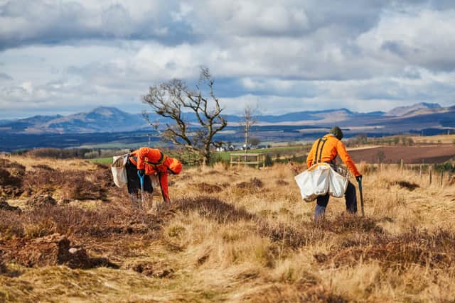 The University said the two sites are part of a large-scale project to combat climate change and yield significant benefits for local habitats by expanding forests and restoring peatlands in Scotland.