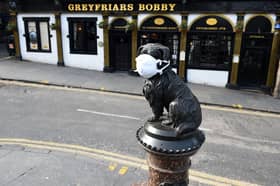 Greyfriars Bobby joins in with the mask wearing.