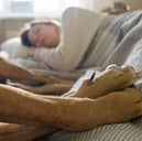 Some dog breeds are a dream to sleep with.