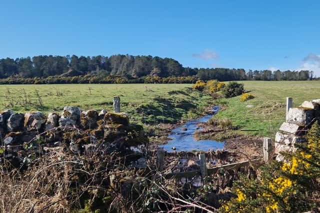 A stream running through fields next to Coul Links, some of which are earmarked for additional development, including hotel lodges and a reservoir.