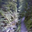 The Puck's Glen gorge walking trail