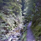 The Puck's Glen gorge walking trail