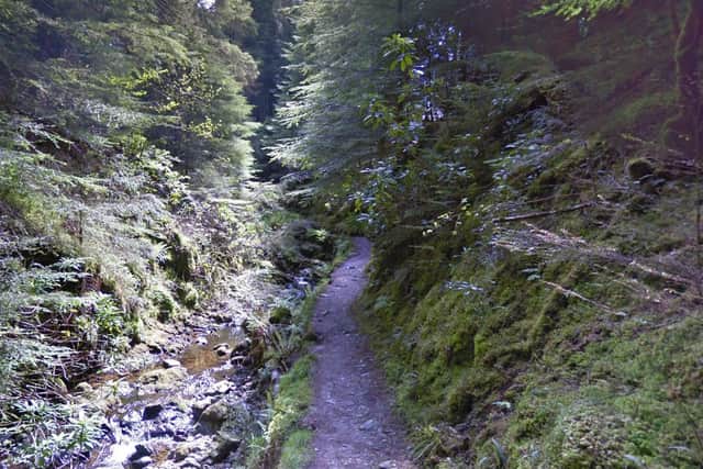 The Puck's Glen gorge walking trail