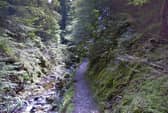 The Puck's Glen gorge walking trail