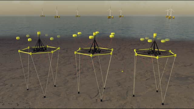 Artist impression of multiple wave energy cluster located near offshore wind farm. Credit Blackfish Engineering