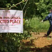 The arrival of bird flu on a farm results in a mass cull of the animals and stringent controls to prevent any further spread of the disease(Picture: Matt Cardy)