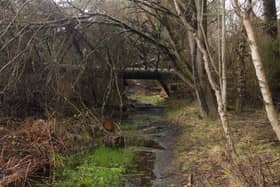 Fallen trees across the country are still blocking paths 