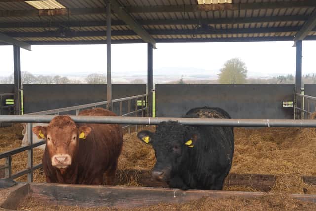 Farmers have raised concerns that the current system is not fit for purpose and that forthcoming changes to the payments means the IT could become out of date.