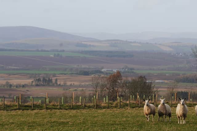 More than £200m has been spent by the Scottish government on external consultants to help run a subsidy system for farmers