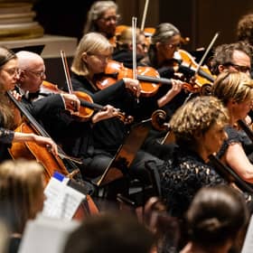 RSNO strings