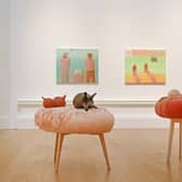 Installation view of RSA New Contemporaries 2025