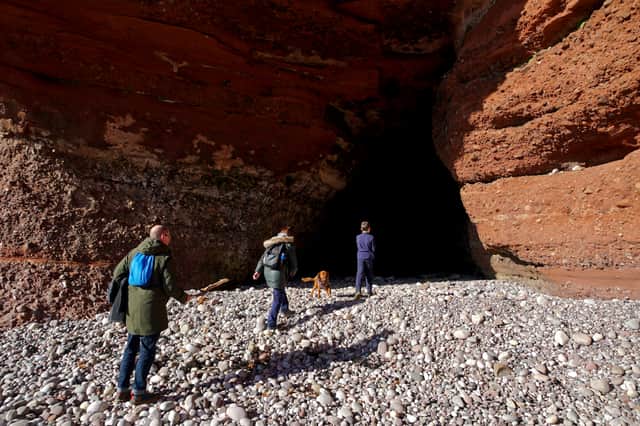  Arbroath Cliff Tours, Cameron Smith  