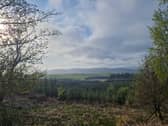 The forestry scheme has been proposed for 579 hectares of land near Ashkirk in the Scottish Borders. 