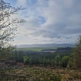 The forestry scheme has been proposed for 579 hectares of land near Ashkirk in the Scottish Borders. 