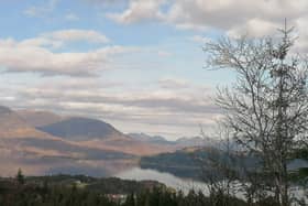 A picturesque 130-acre mixed woodland close to the popular west coast village of Plockton has come to the market.