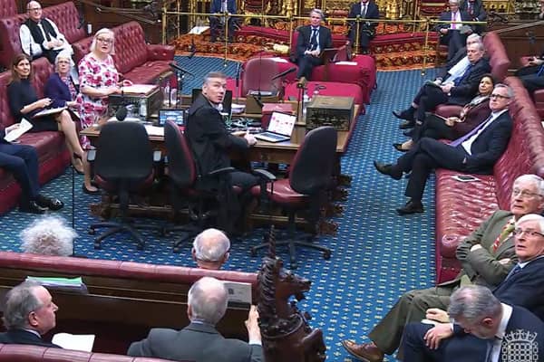 The House of Lords may not have a great reputation, but having a revising second chamber is important to prevent legislative mistakes (Picture: House of Lords/UK Parliament)