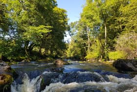The Riverwoods Blueprint Project, led by the Scottish Wildlife Trust, has launched a £200,000 grant to kickstart a pipeline of new river woodland creation and restoration activities across Scotland.