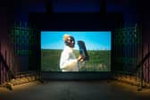 Alberta Whittle's work was shown at the last Venice Bienniale attended by Scotland in 2022.