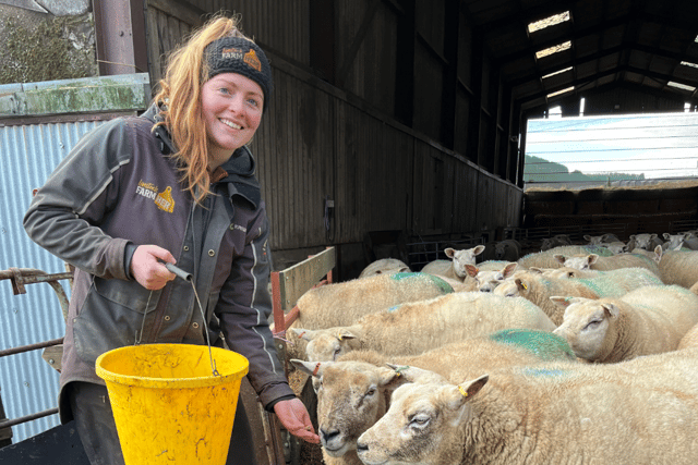Livestock is Nicola’s passion, farming 240 suckler cows and around 1,000 breeding sheep. 

