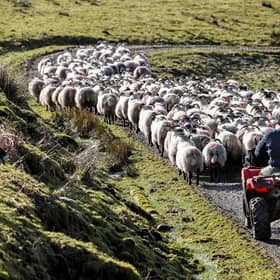 Labour's change to farmers' inheritance tax is just one of many different factors making life in rural Scotland more difficult (Picture: Jeff J Mitchell)