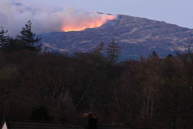 The wildfire on the hillside next to the village of Glen Trool which forced some residents in the Loch Trool valley to flee their homes over the weekend  