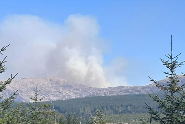 Sunny, dry spells can create prime conditions for a wildfire, even if the temperature is cold 