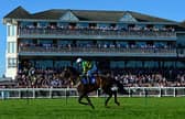 The Scottish Grand National will be returning to Ayr this weekend.