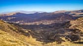 Picture shows some of the damage caused by the wildfire that spread through areas of Galloway Forest Park from Thursday 