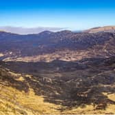 Picture shows some of the damage caused by the wildfire that spread through areas of Galloway Forest Park from Thursday 