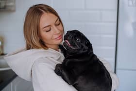 Some dogs just can't get enough snuggles and cuddles.